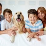 Consejos para una adopción segura y saludable: impulsa la felicidad de tu nuevo miembro familiar